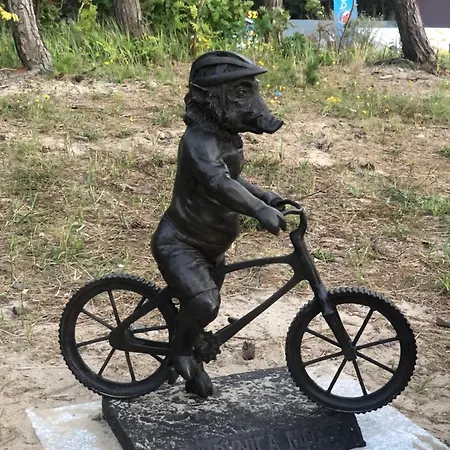 Morski Zakatek * 库瑞尼卡慕斯卡